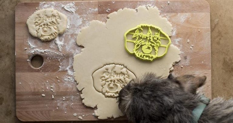 3d-gedruckte keksformen 3d printed cookie cutter copypastry